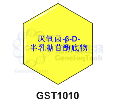 金赛途厌氧菌-β-D半乳糖苷底物结构式